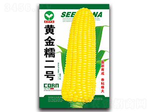 �S��Ŵ��̖-���׷N��-ȪԴ