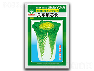 �P(gu��n)�|����L-�ײ˷N��-ȪԴ