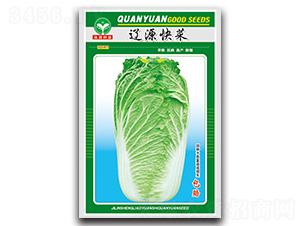 �|Դ���-�ײ˷N��-ȪԴ