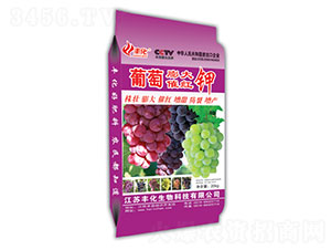 �������߼t�-�S��