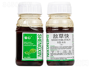 200��/�����ݿ�ˮ��-ʡ��