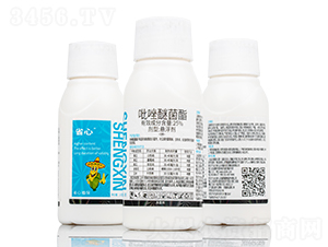 25%�����Ѿ����Ҹ���-ʡ��