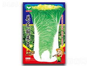 �P(gu��n)�|�����-�ײ˷N��-ȪԴ