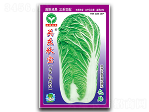 �P(gu��n)�|�-�ײ˷N��-ȪԴ