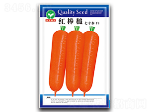 �t���-�}���N��-ȪԴ