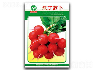 �t���}��-�}���N��-ȪԴ