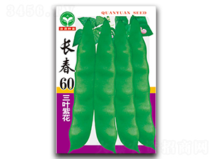 �L��60-���ǷN��-ȪԴ