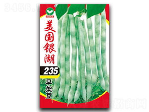 美國銀湖235-豆角種子-泉源
