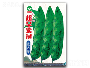 �����Ϲ�-���ǷN��-ȪԴ