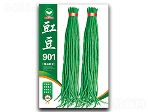 ����901-���ǷN��-ȪԴ