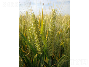 �A����10̖(h��o)-�A��N�I(y��)