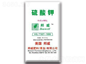 �����-��������