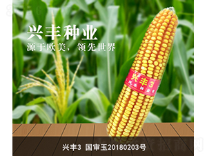 �d�S3-�d�S�N�I(y��)