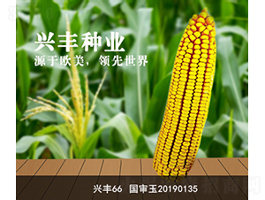 �d�S66-�d�S�N�I(y��)