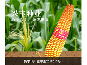 �d�S1̖-�d�S�N�I(y��)