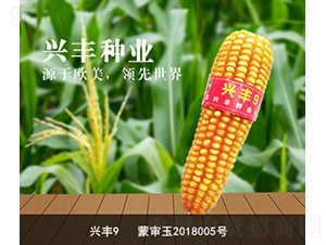 �d�S9-�d�S�N�I(y��)