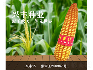 �d�S15-���׷N��-�d�S�N�I(y��)