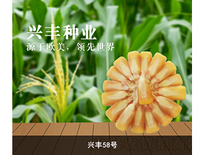 �d�S58̖-���׷N��-�d�S�N�I(y��)