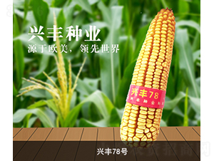 �d�S78̖-���׷N��-�d�S�N�I(y��)