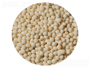 �w���\��-ïʩ