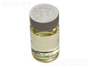 Һ�w���-ïʩ