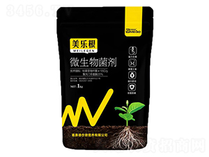 ΢�������-����(l��)��-��ِ��