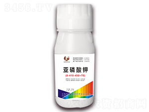 �������0-410-450+TE-˹���Z