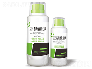 �������0-525-375+TE-�|�S¡