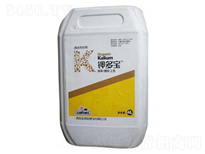 �ЙC��Ƅ�-⛶���-���J