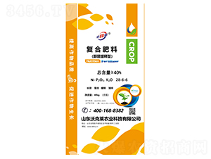 ��ȩ����͏�(f��)�Ϸ���28-6-6-�S���-�ֿ��R