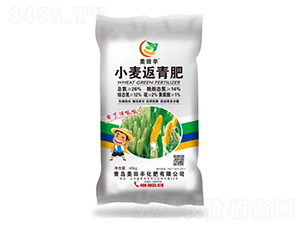 С�������-������