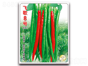 �w��8̖-�����N��-�w���r�I(y��)