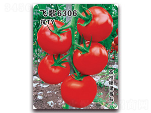 �w��6306-���ѷN��-�w���r(n��ng)�I(y��)