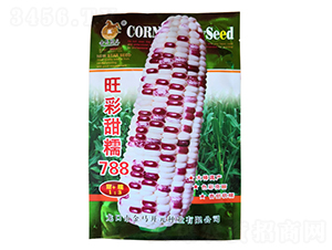 ������Ŵ788-��Ŵ���׷N��-���R�_(k��i)Ԫ