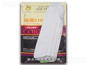 ��Ŵ516-�����Ŵ���׷N��-���R�_Ԫ