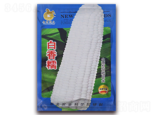 ����Ŵ-��Ŵ���׷N��-���R�_Ԫ