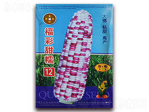 ������Ŵ12-���׷N��-���R�_Ԫ