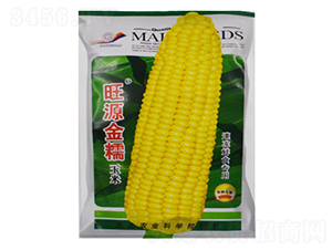 ��Դ��Ŵ-���׷N��-���R�_Ԫ