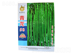 青龍58-線椒種子-金馬開元