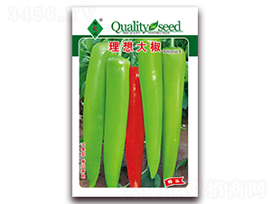 �����-�⽷�N��-ʒ�\