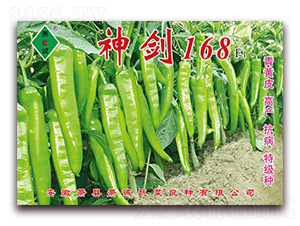 ��168-�⽷�N��-ʒ�\