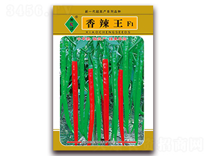 ������-�����N��-ʒ�\