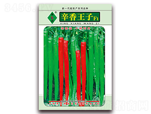 ��������-�����N��-ʒ�\