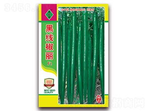 �ھ�����-�����N��-ʒ�\