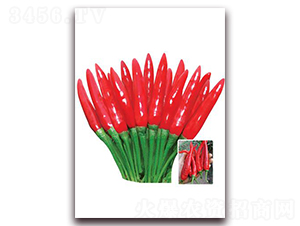 �n�����-���콷�N��-ʒ�\