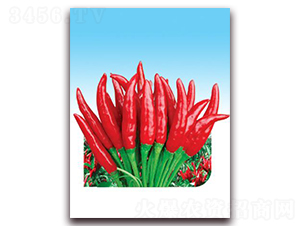 ������̖(h��o)-���콷�N��-ʒ�\