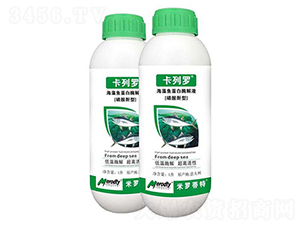 �����~����ø�⾫-�����_-��(y��u)��˼