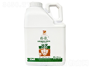 ����ֲ��ˮ�ܷ���-���n-��(y��u)��˼