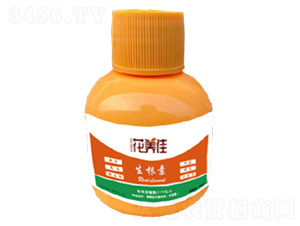 ������-���B(y��ng)��-������