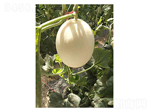 ���۴���-��ϷN��-��V�r(n��ng)�I(y��)